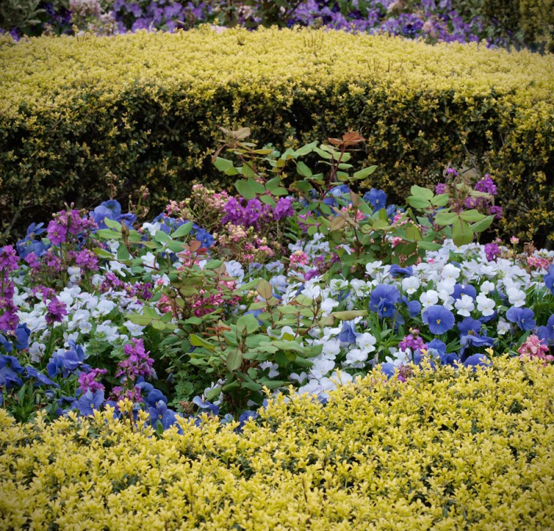 植栽のグラデーション