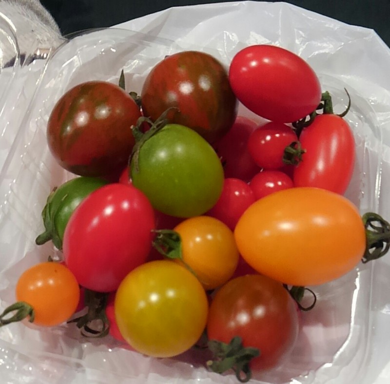 いろいろな種類のトマト