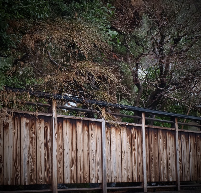 木製の垣根